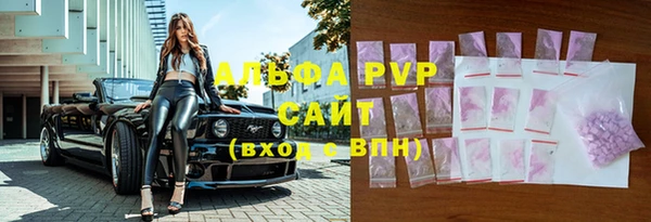 ECSTASY Иннополис
