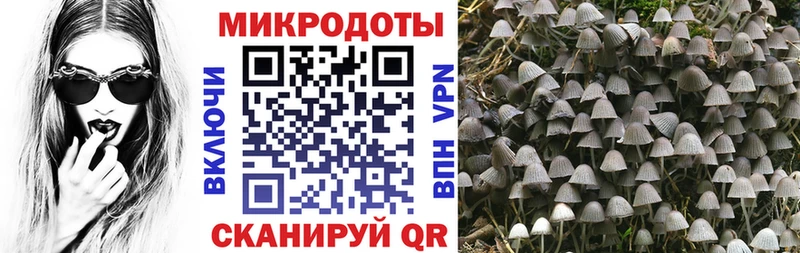 OMG ссылка  Салават  Псилоцибиновые грибы Psilocybe 